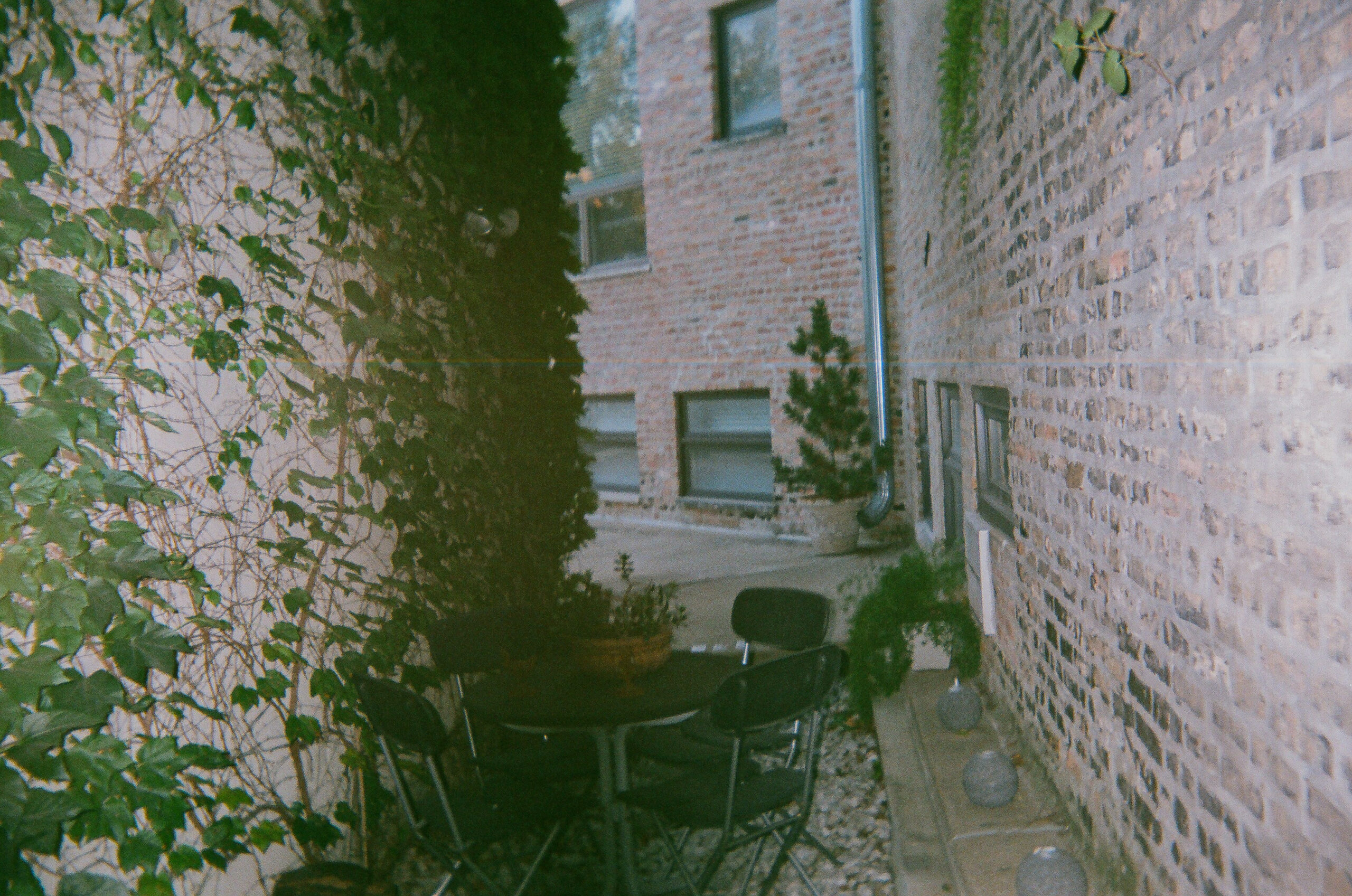 Narrow outdoor passage between brick buildings and greenery in Chicago.